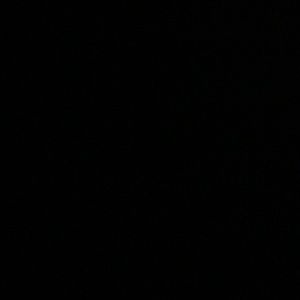 Meet your Posher, Kelsea